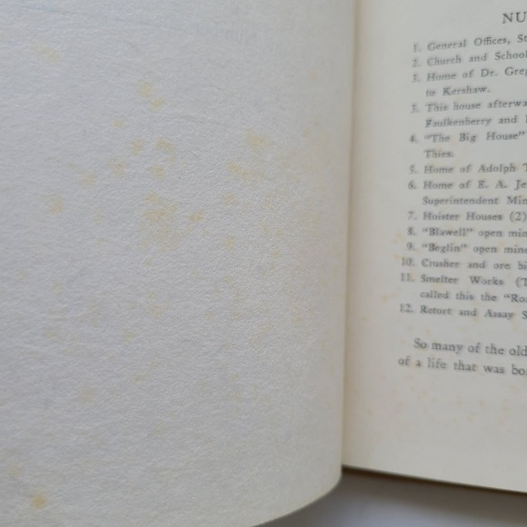 Local History Book Death of a Gold Mine Pittman Signed # 29 / 500 Haile SC 1st - Picture 13 of 16